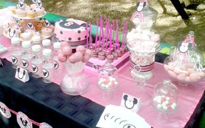 Pink Minnie Party