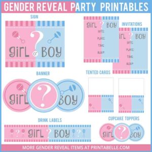 Gender Reveal Baby Shower Printable Set