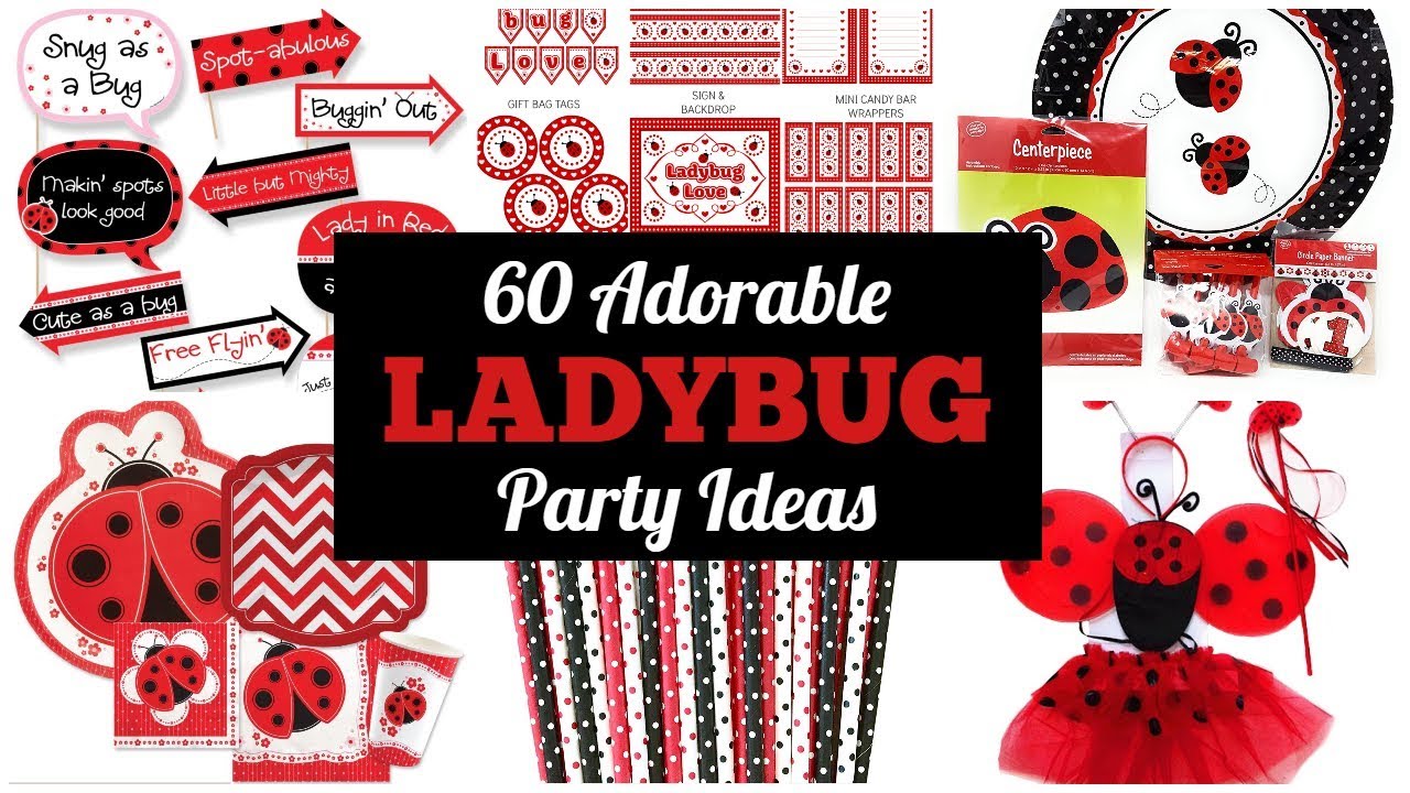 Best Ladybug Birthday Party Ideas
