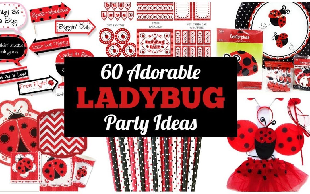 Ladybug Party Ideas & Supplies
