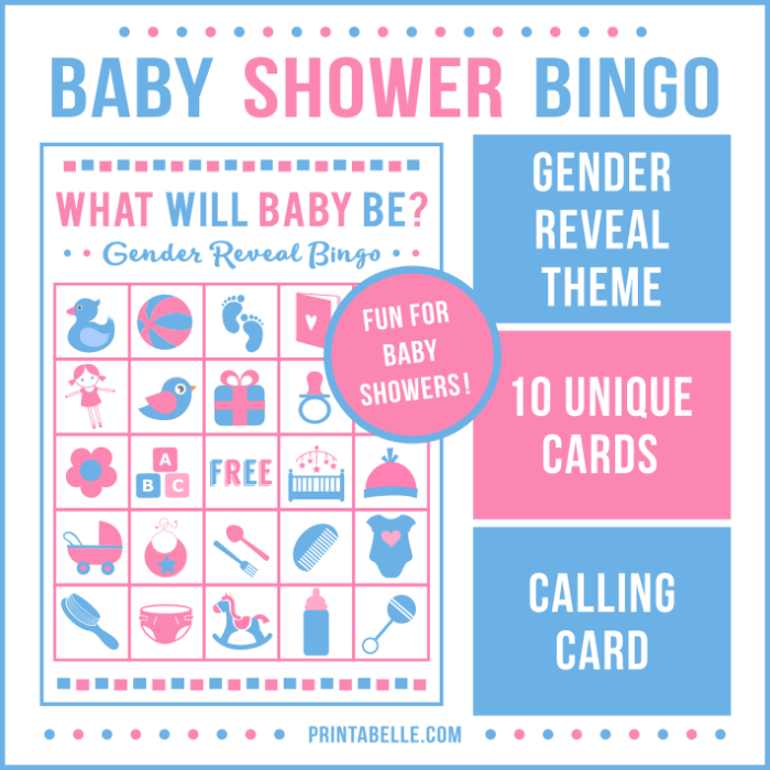 Gender Reveal Baby Shower Bingo Game