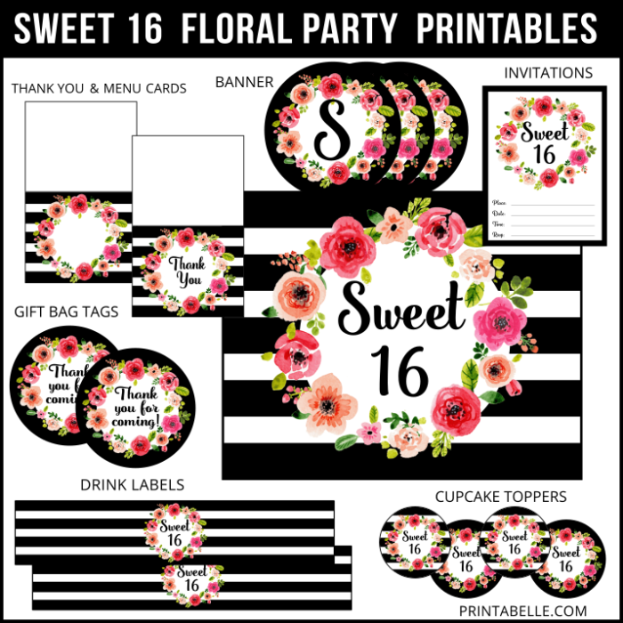 Sweet 16 Birthday Party Printables