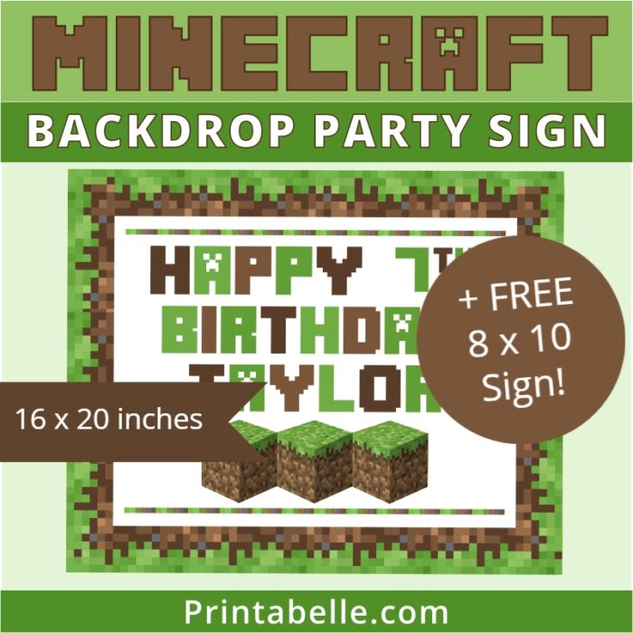 Minecraft Birthday Backdrop + Free Sign Party Printables