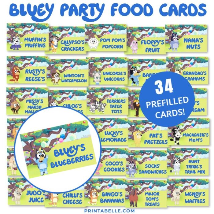 Bluey Party Food Label Cards + FREE Snack Bar Sign