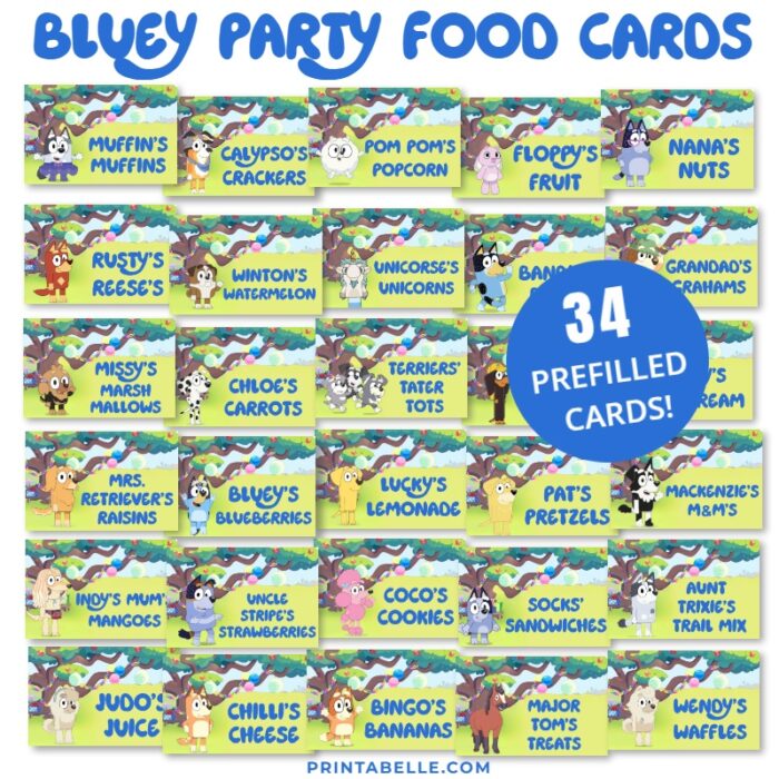 Bluey Party Food Label Cards + FREE Snack Bar Sign - Image 3